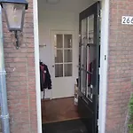 House With Sunny Garden