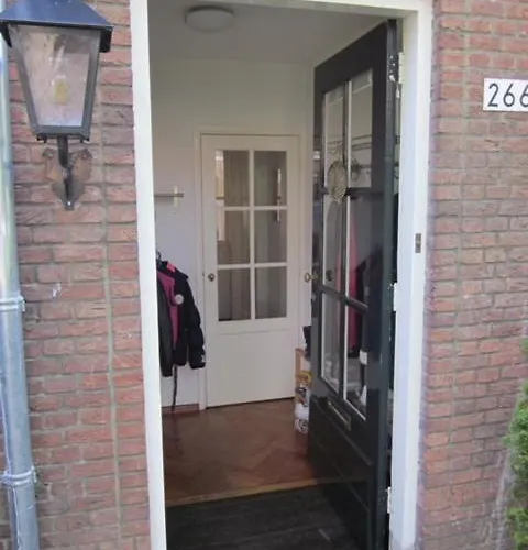 House With Sunny Garden